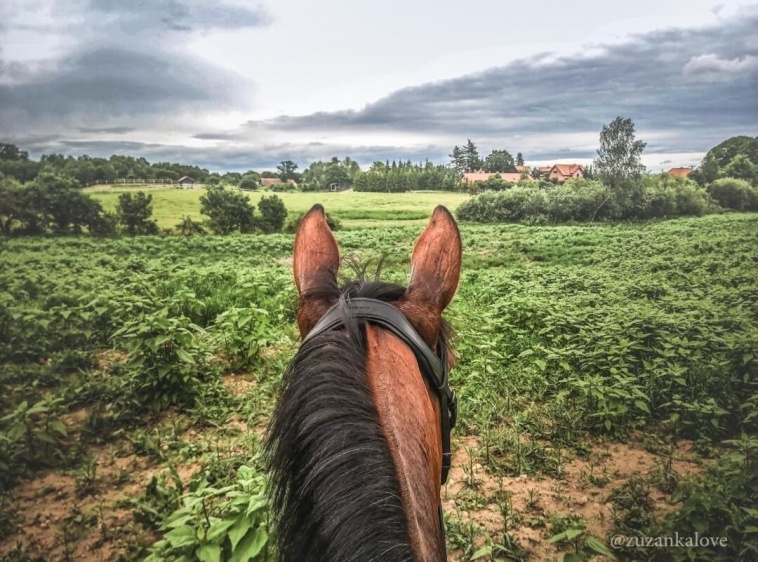 Stajnia Lipowo 45 Agroturystyka 