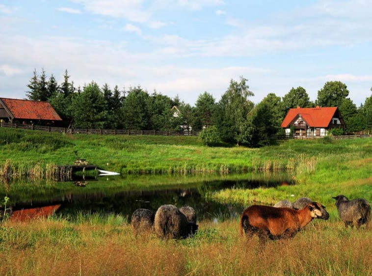 Siedlisko na Wygonie  