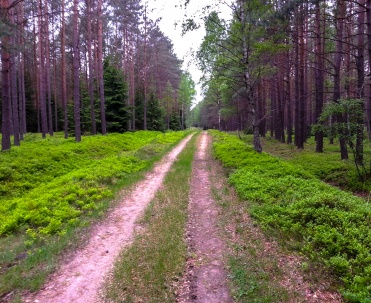 Leśna ścieżka, Ruciane-Nida