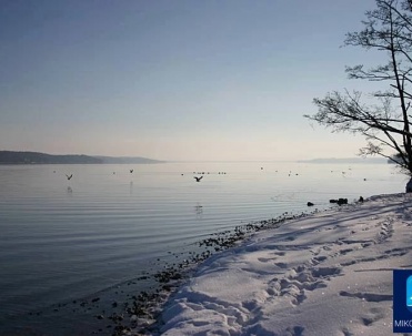 Zimowy brzeg jeziora Mikołajki - Śnieżny krajobraz nad brzegiem zamarzniętego jeziora w Mikołajkach, typowy dla Mazur zimą.